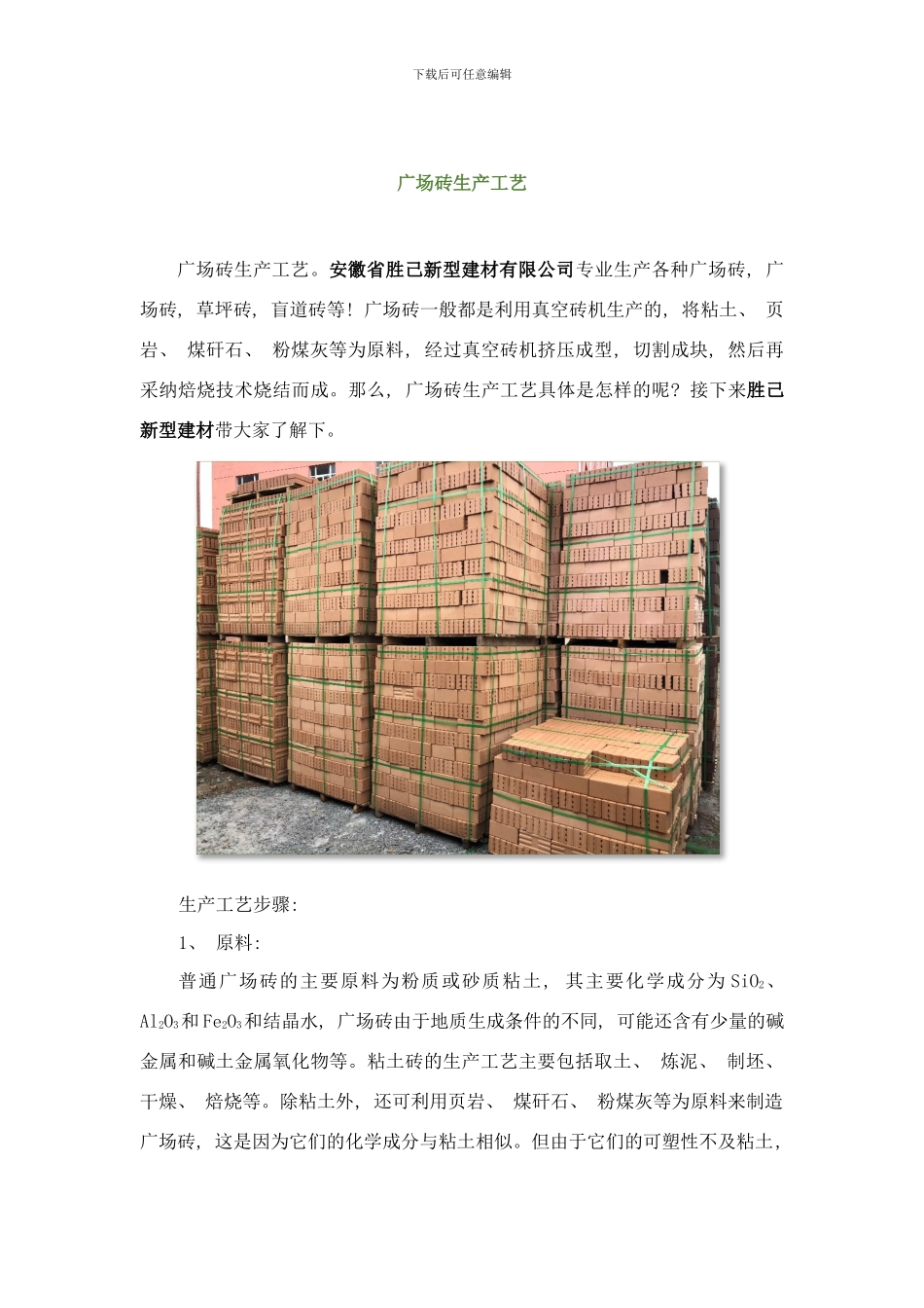 广场砖生产工艺样本_第1页