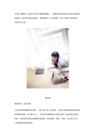 猫咪疾病大全