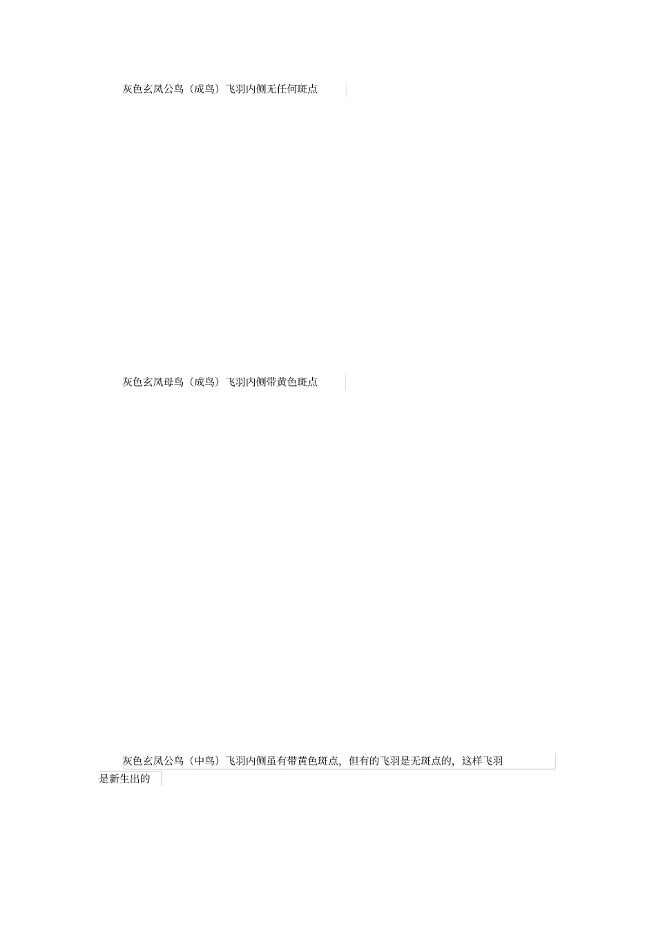 玄凤公母鉴别饲养问题_第2页