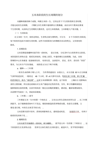 玉米生长过程