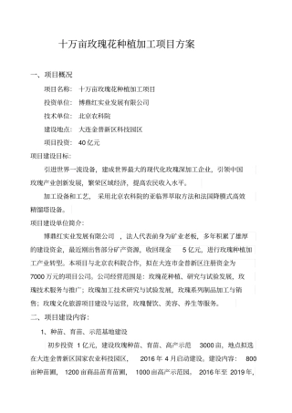 玫瑰花种植方案