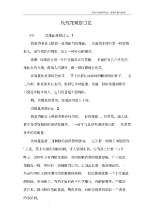 玫瑰花观察日记