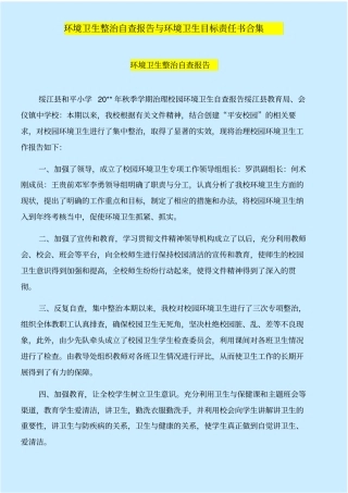 环境卫生整治自查报告与环境卫生目标责任书合集