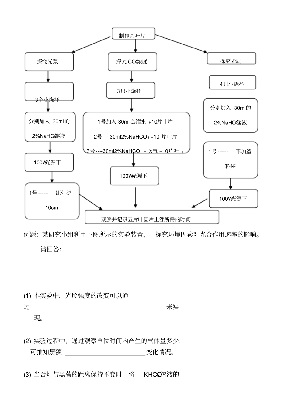 环境因素对光合作用的影响试验_第3页
