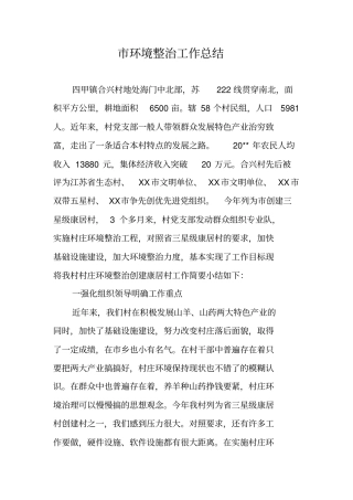 环境整治工作总结