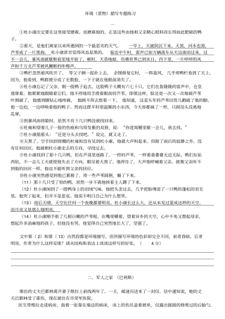 环境景物描写阅读专题练习