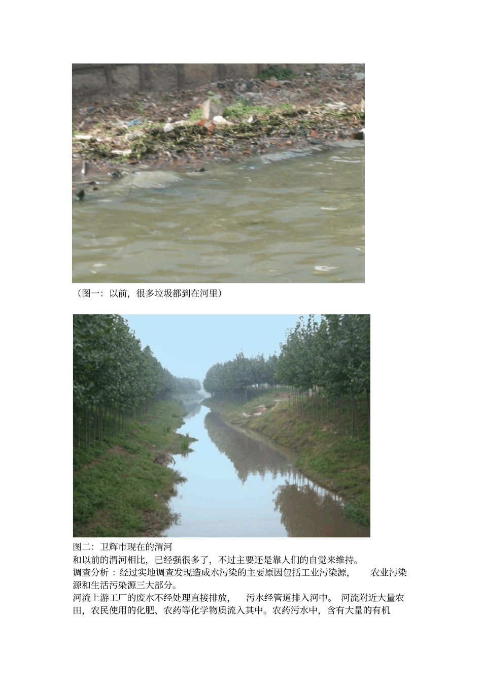 环境污染的调查与研究报告_第2页