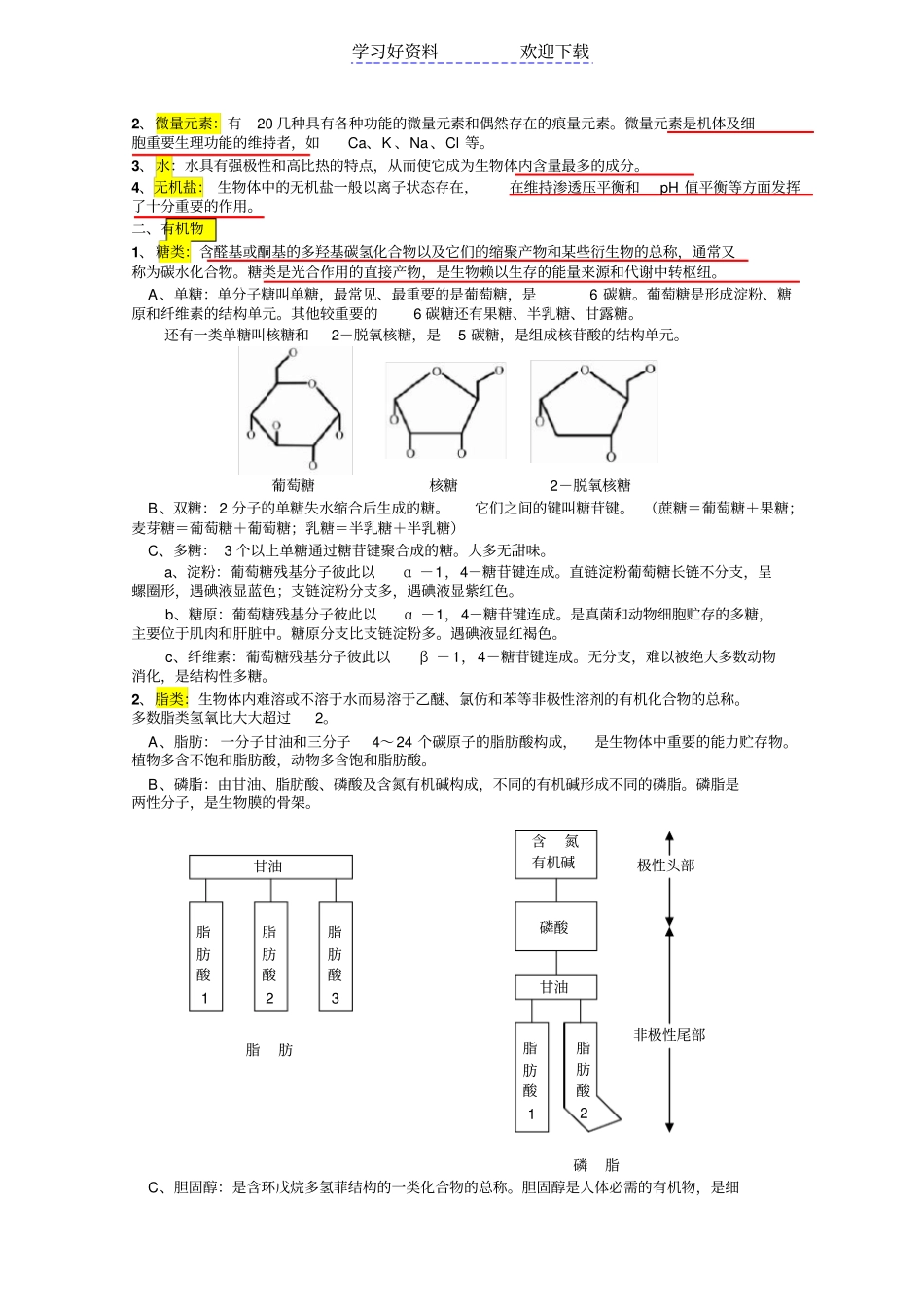 现代生命科学概论读书笔记v_第3页