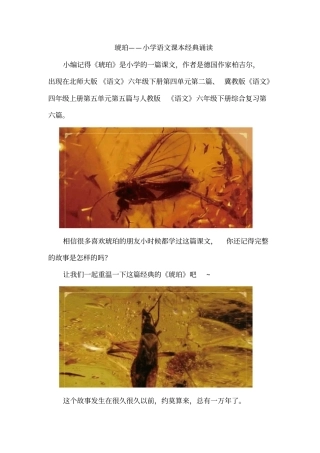 琥珀——小学语文课本经典诵读