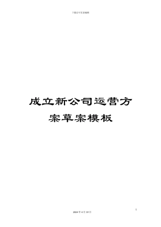 成立新公司运营方案草案模板