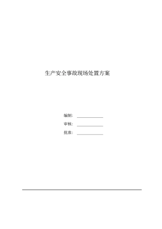 生产安全事故现场处置方案