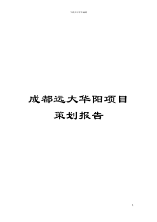 成都远大华阳项目策划报告模板