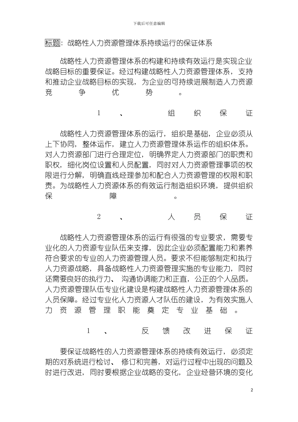 战略性人力资源管理体系持续运行的保证体系模板_第2页