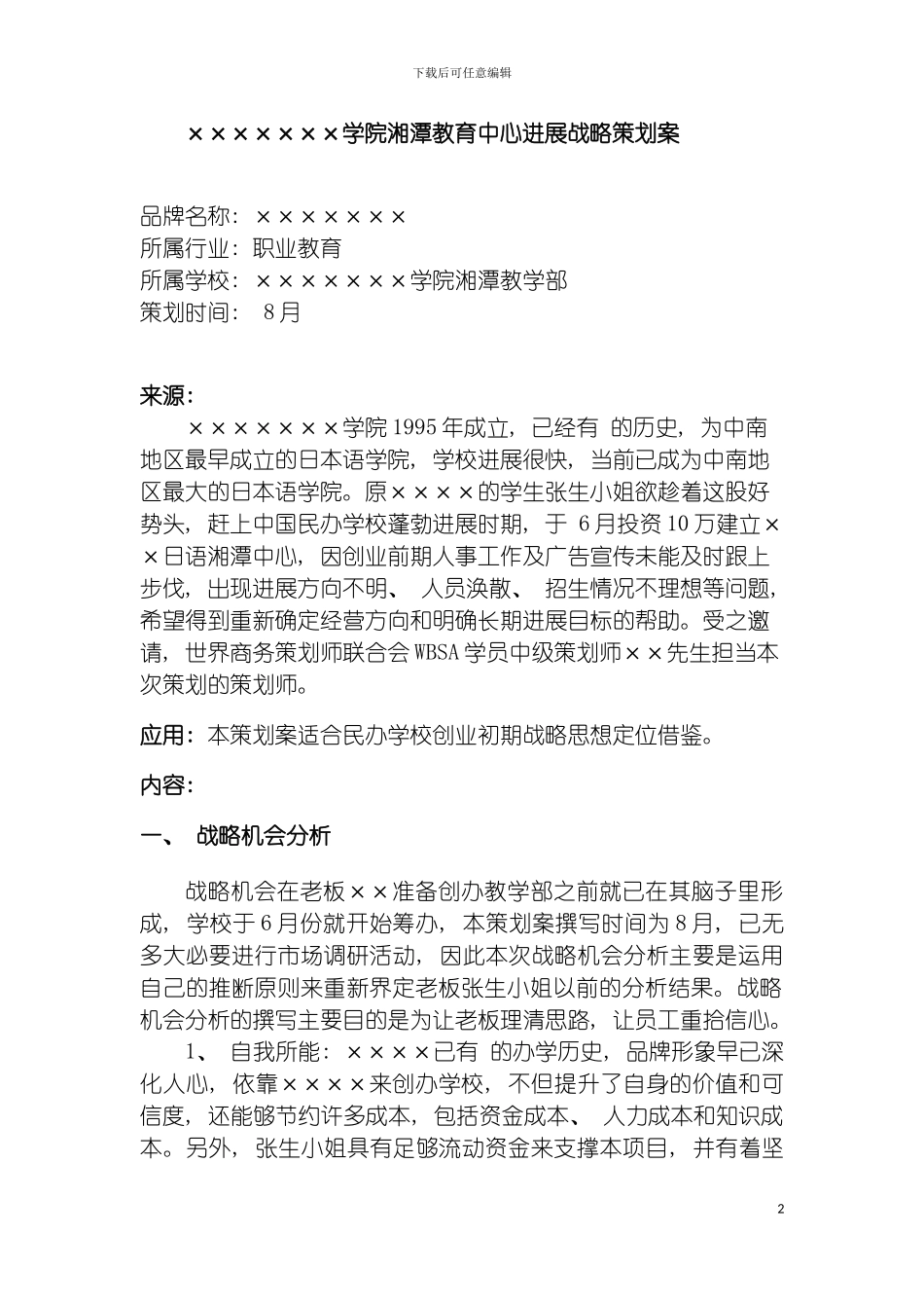 战略策划案模板_第2页