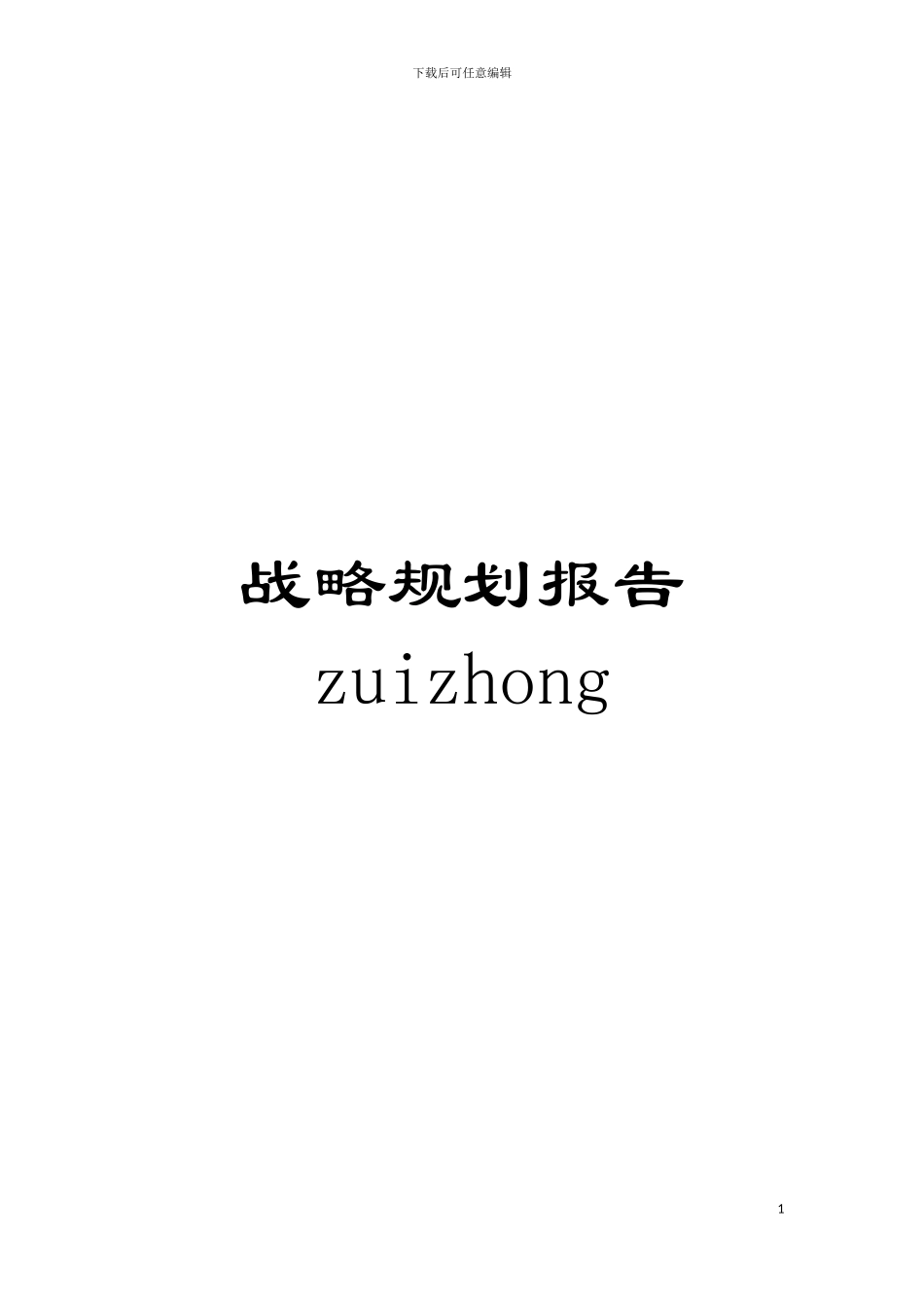 战略规划报告zuizhong模板_第1页