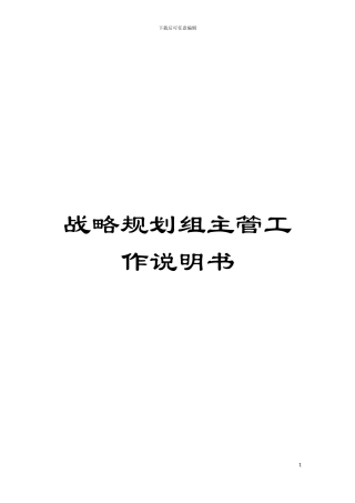 战略规划组主管工作说明书模板