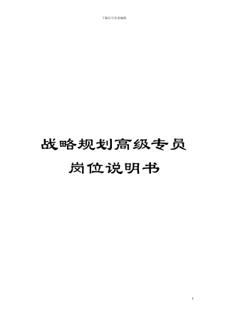 战略规划高级专员岗位说明书模板
