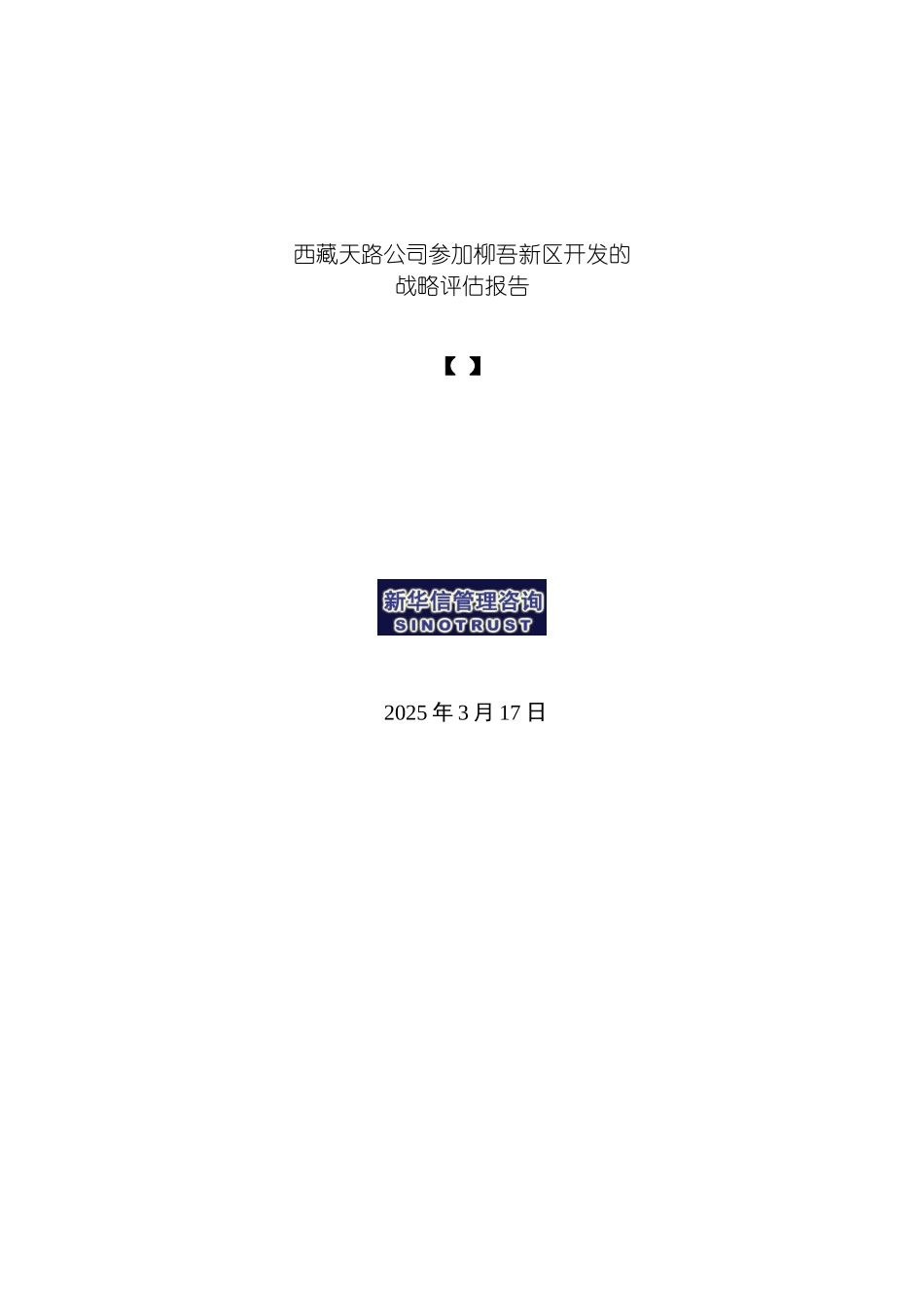 战略评估报告final模板_第2页