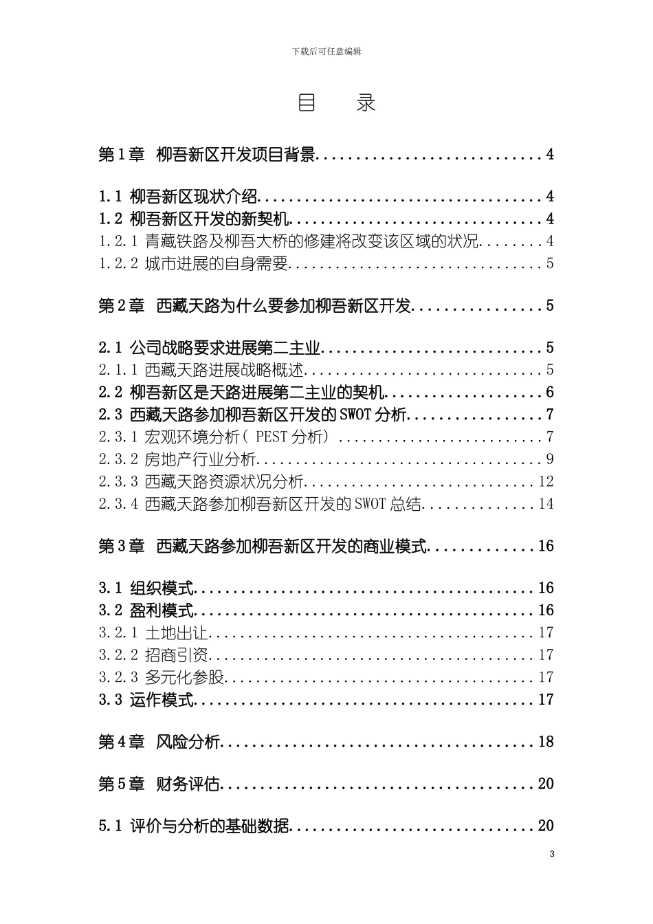 战略评估报告final模板_第3页