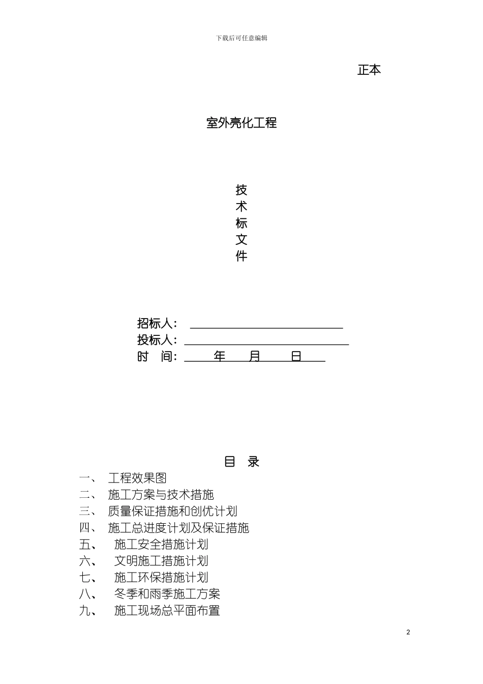 户外亮化工程技术标范本模板_第2页