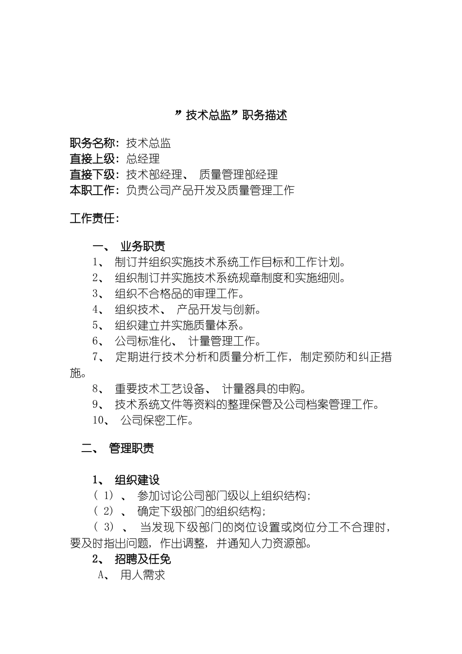 技术总监职务描述模板_第2页