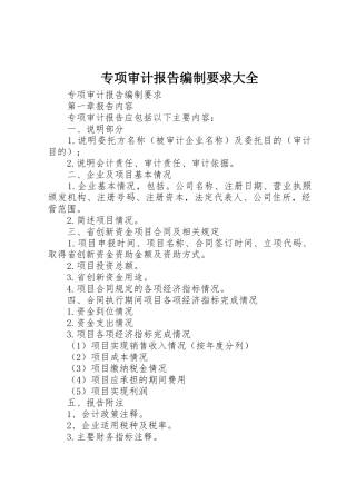 专项审计报告编制要求大全