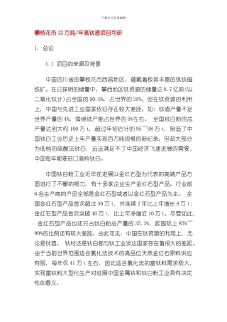 攀枝花市12万吨年高钛渣项目可研样本