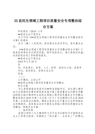 XX县民生领域工程项目质量安全专项整治综合方案
