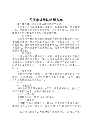 发展集体经济组织方案