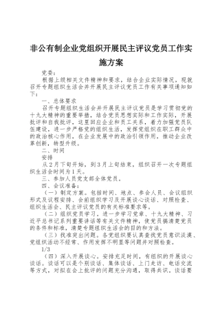 非公有制企业党组织开展民主评议党员工作实施方案