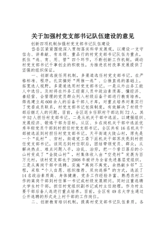 关于加强村党支部书记队伍建设的意见_1