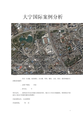 大宁国际案例分析