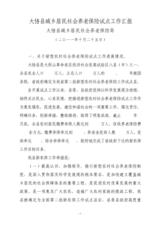 大悟县城乡居民社会养老保险试点工作汇报