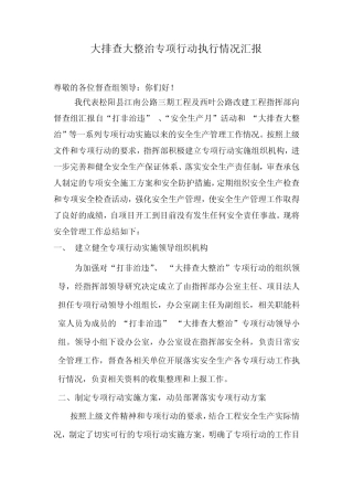 大排查大整治专项行动执行情况汇报