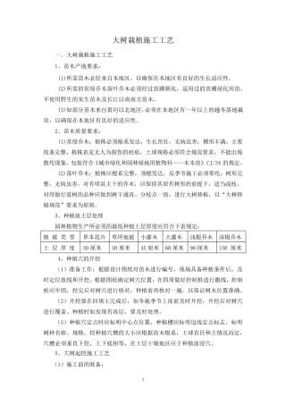 大树栽植施工工艺