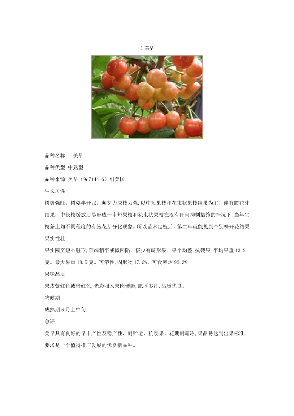 大樱桃品种简介_第3页