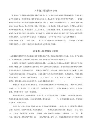 大樱桃如何管理