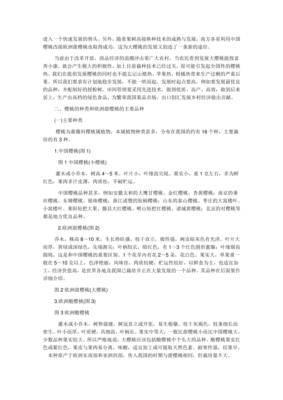 大樱桃栽培技术_第3页