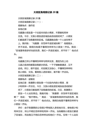 大班区角观察记录20篇