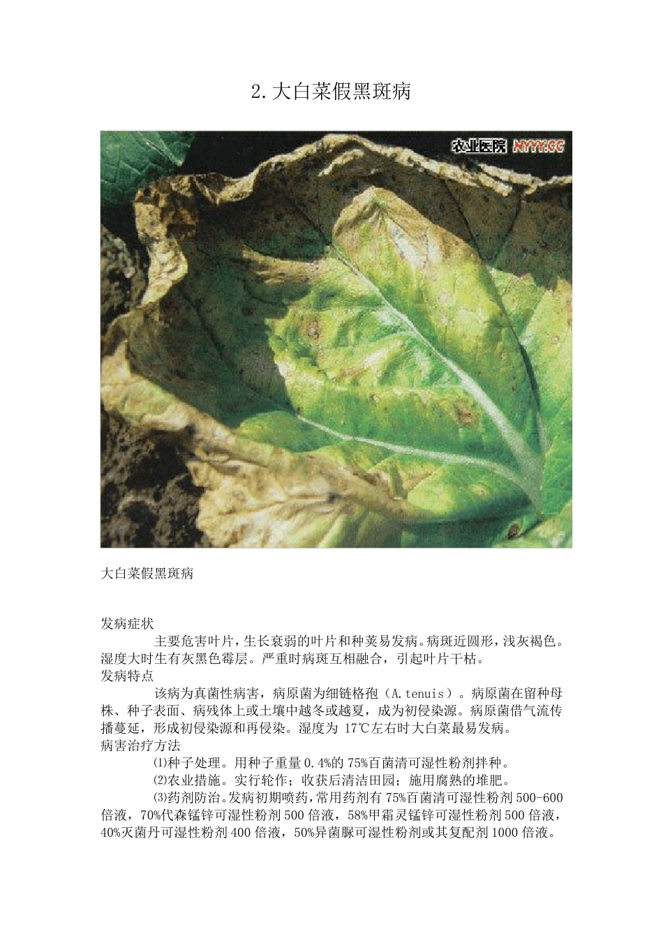 大白菜病虫害图谱及防治方法_第2页