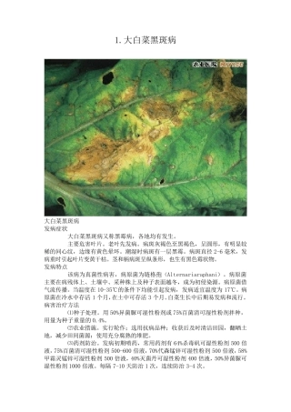 大白菜病虫害图谱及防治方法
