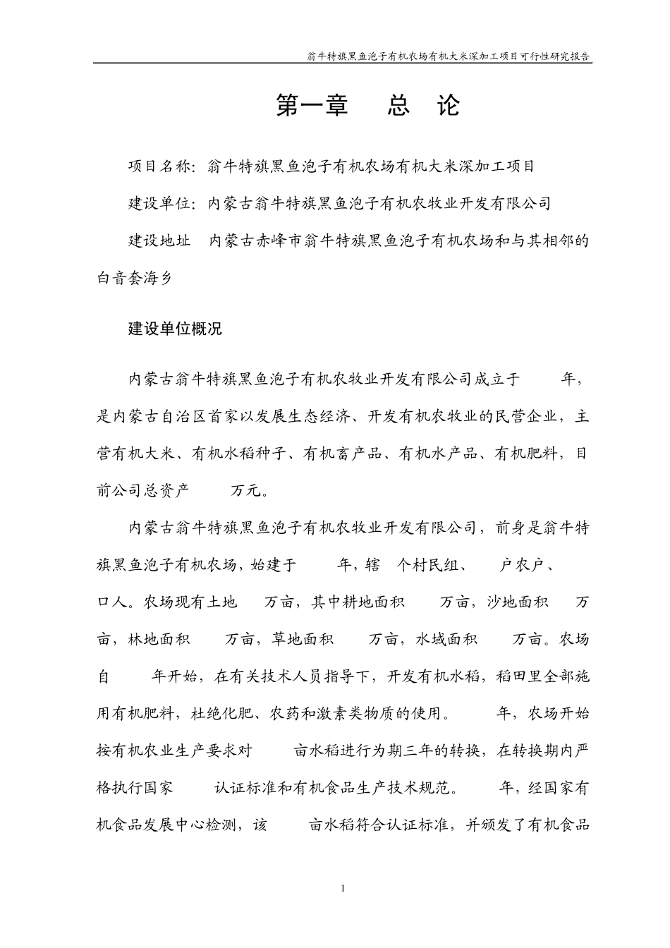 大米深加工项目书正稿_第1页