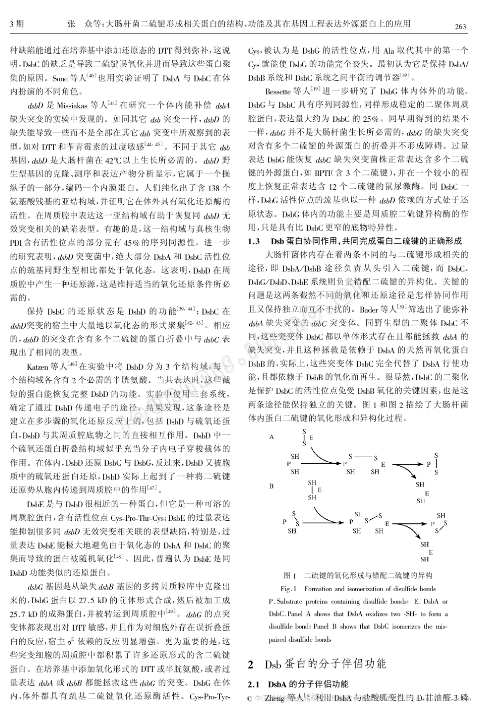 大肠杆菌二硫键形成相关蛋白的结构、功能及其在基因工程表达外源蛋白上的应用_第3页