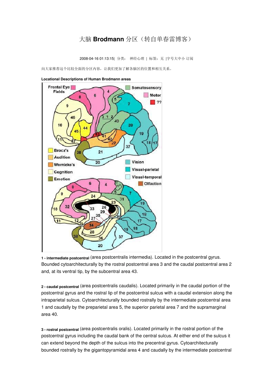 大脑Brodmann分区_第1页