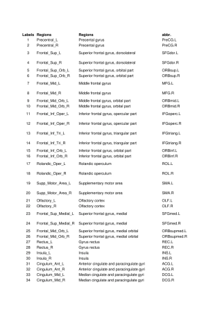 大脑分区AAL模板