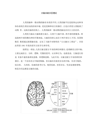 大脑功能分区理论