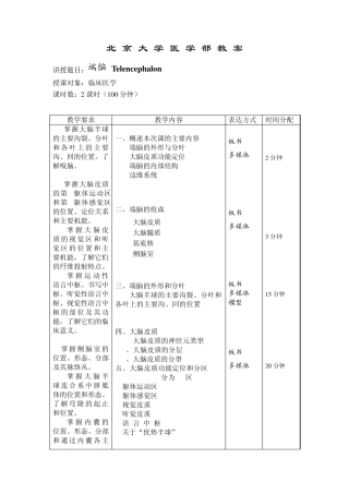 大脑皮质分区教案