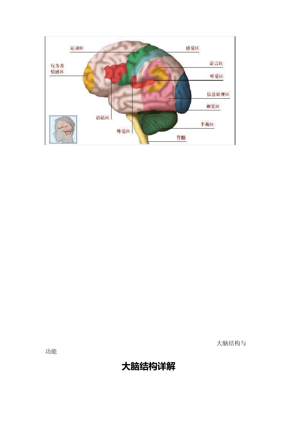 大脑结构与功能_第2页