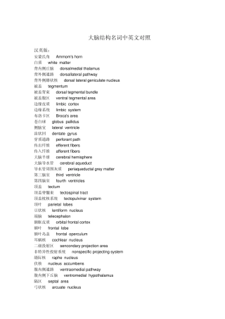 大脑结构名词中英文对照