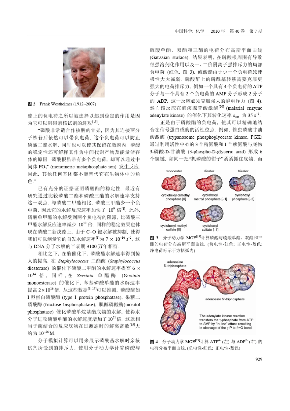 大自然为什么选择磷主导生命_第3页